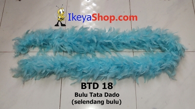 BTD 18  large2